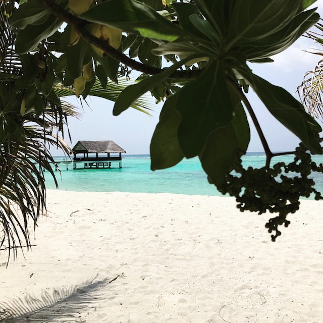 maldive14